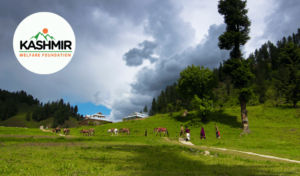 Exploring the Hidden Gems of Neelum Valley, Azad Kashmir