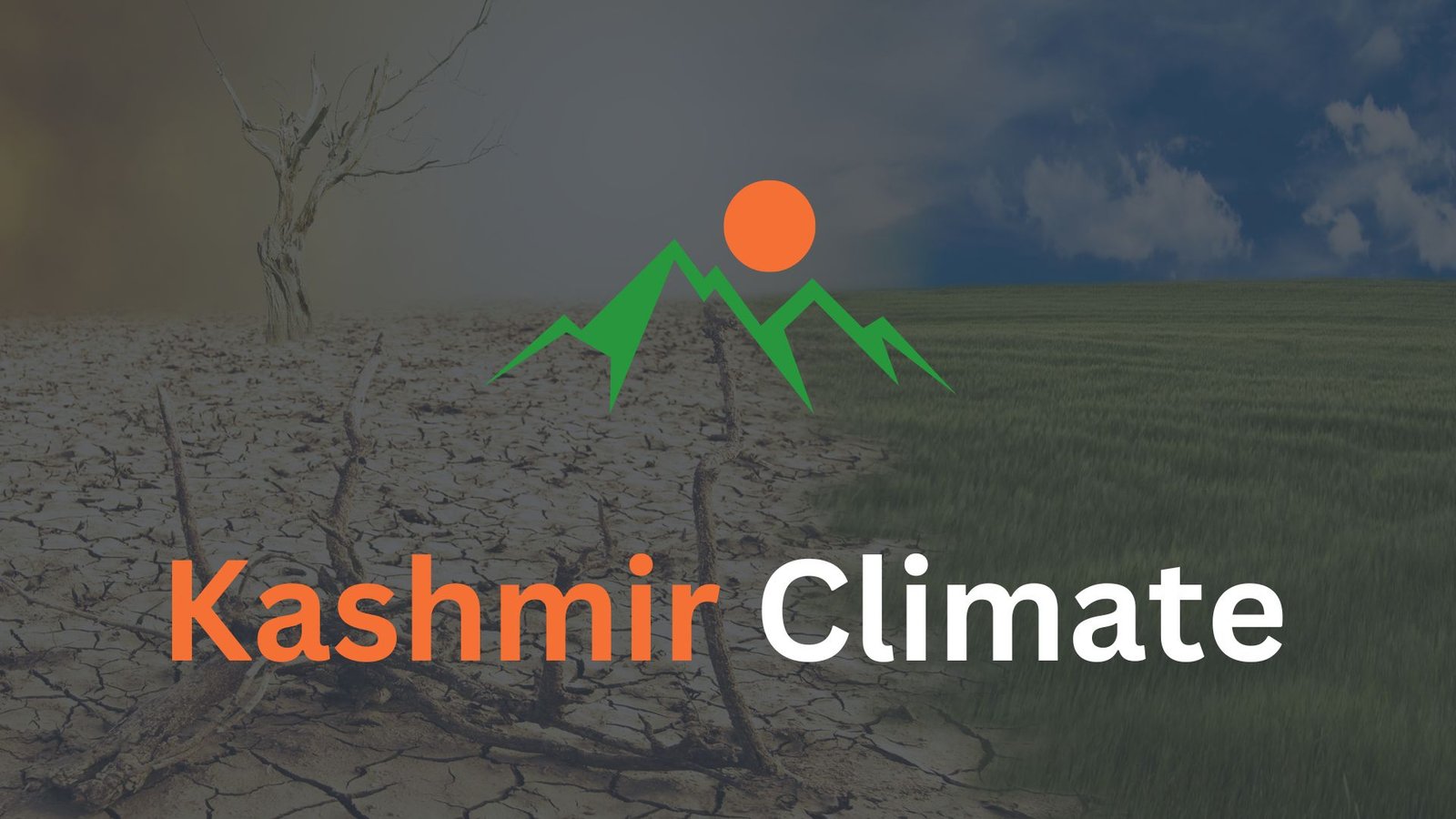 Planting Trees in Azad Kashmir