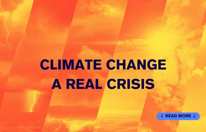 Black-Simple-Beautiful-Nature-Email-Header-11-1