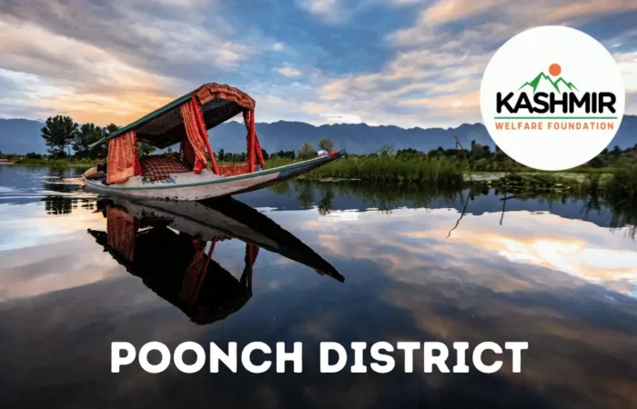 Black-Simple-Beautiful-Nature-Email-Header-21-1